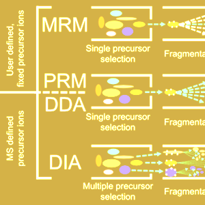 数据非依赖性采集（DIA）蛋白组学