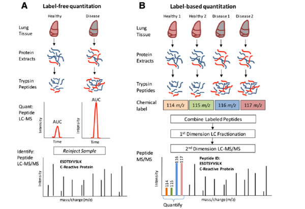 非标（label-free)定量蛋白质组学分析