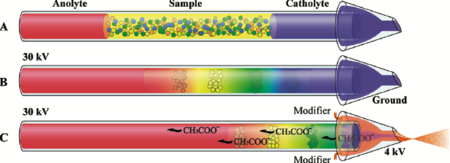 毛细管等电聚焦质谱联用技术（cIEF-MS）